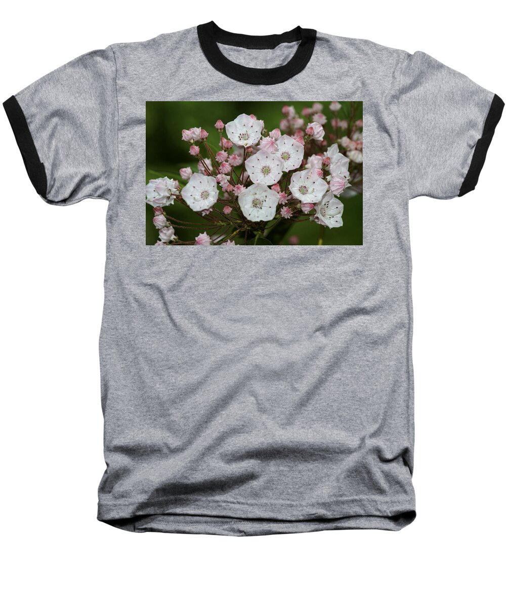 Flowers Baseball T-Shirt featuring the photograph Mountain Laurel I by Henri Irizarri