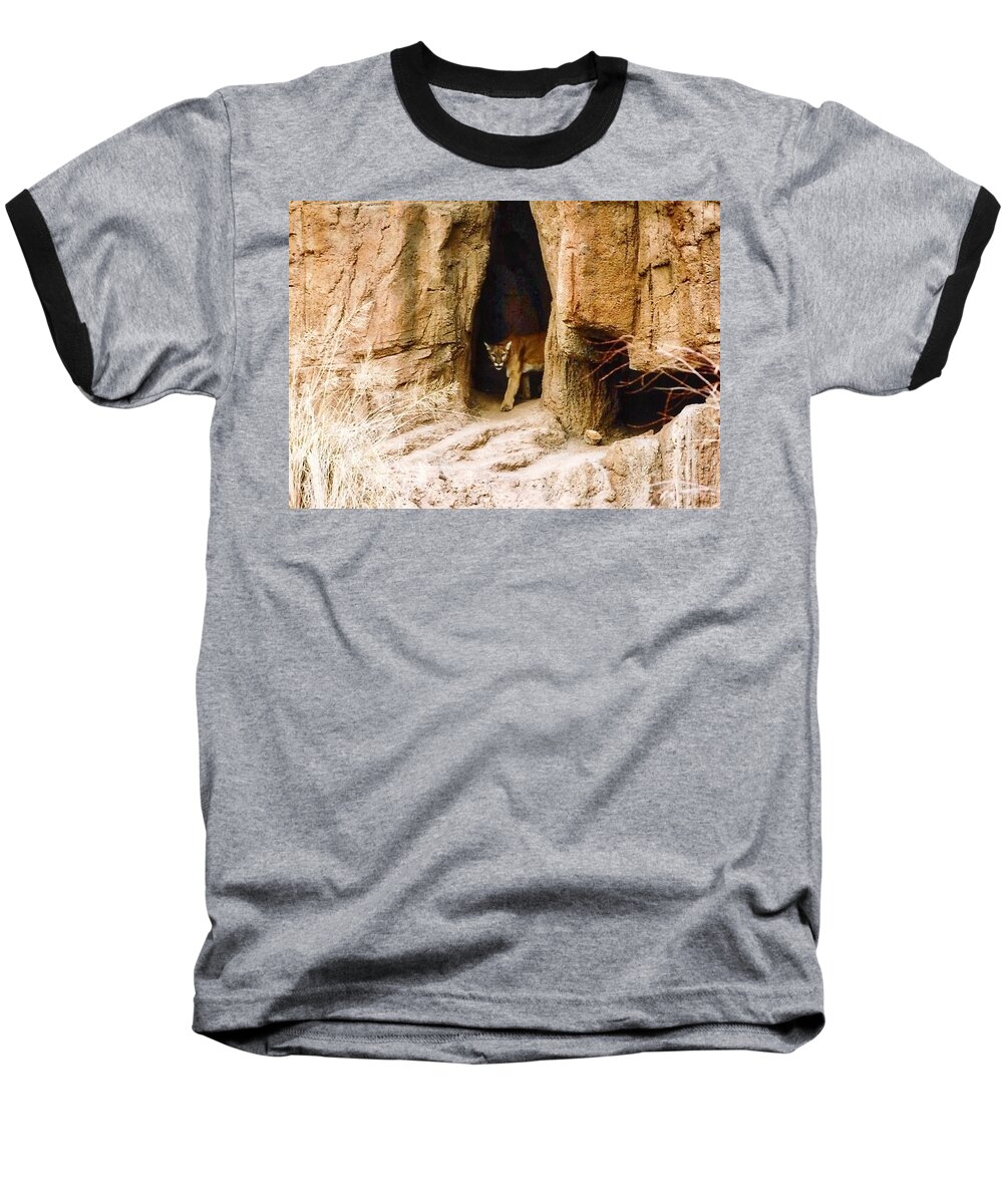 Arizona Baseball T-Shirt featuring the photograph Mountain Lion in the Desert by Judy Kennedy