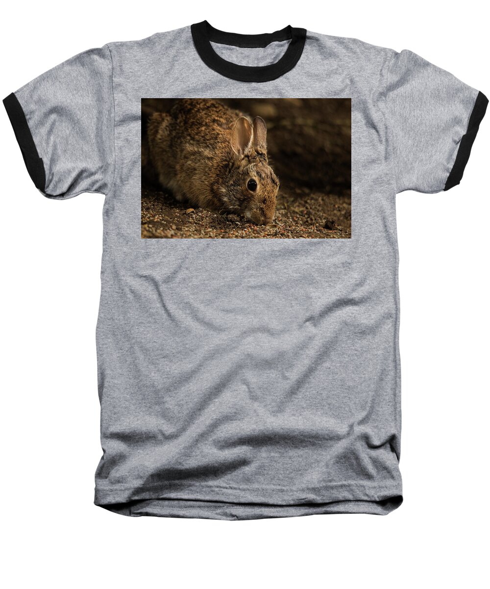 Animal Baseball T-Shirt featuring the photograph Mr. B by Bob Cournoyer