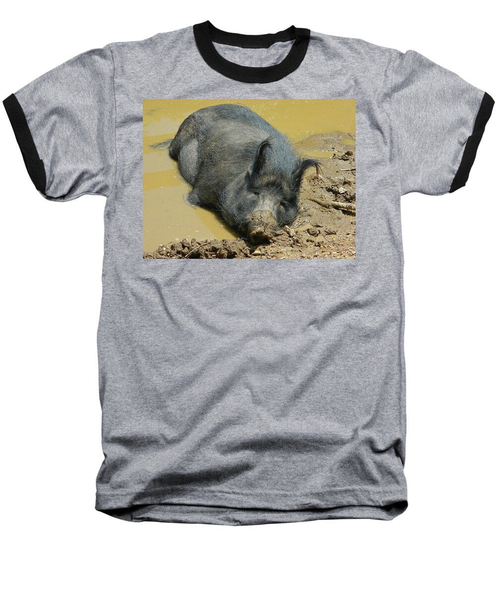 Hog Baseball T-Shirt featuring the photograph Mud Spa by Emmy Marie Vickers