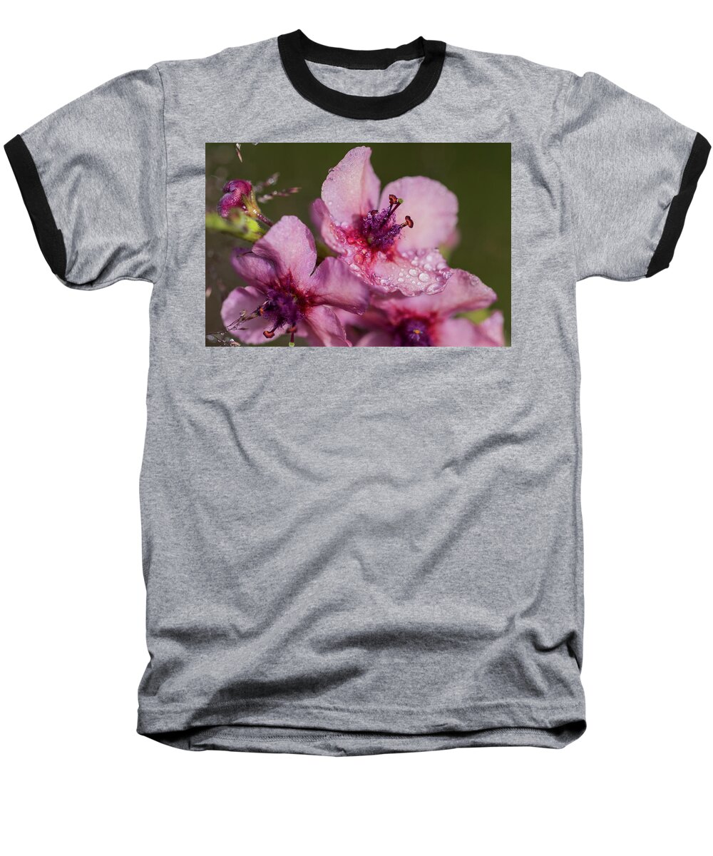 Astoria Baseball T-Shirt featuring the photograph Mullein in the Mist by Robert Potts