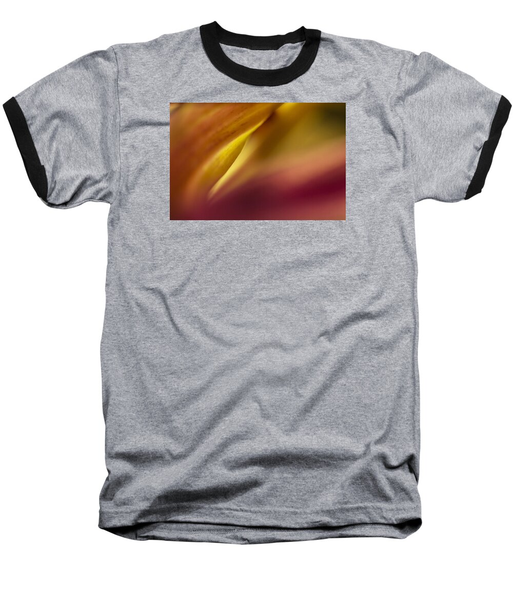 Flower Baseball T-Shirt featuring the photograph Mum Abstract by Bob Cournoyer