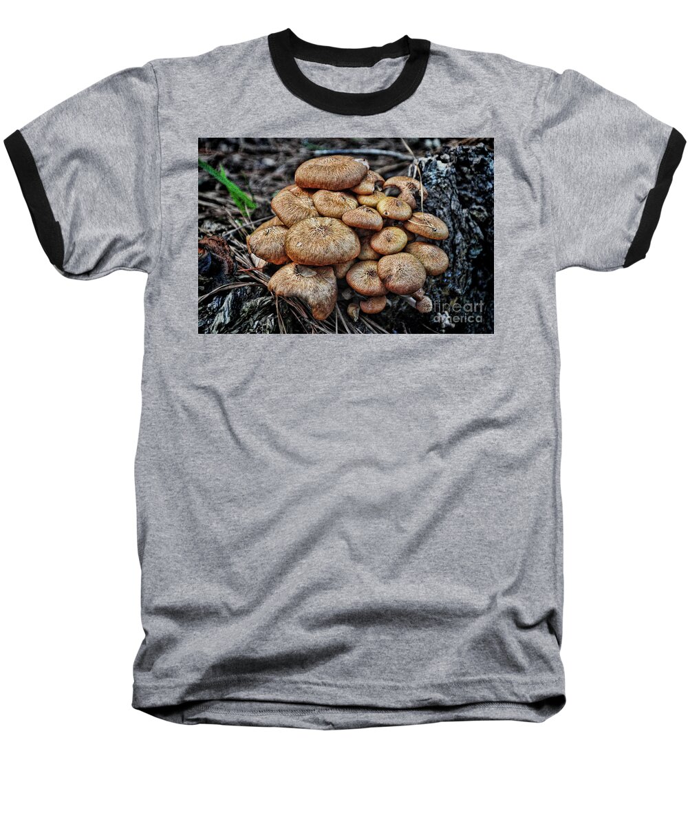 Mushroom Baseball T-Shirt featuring the photograph Mushroom Nest by Randy Rogers