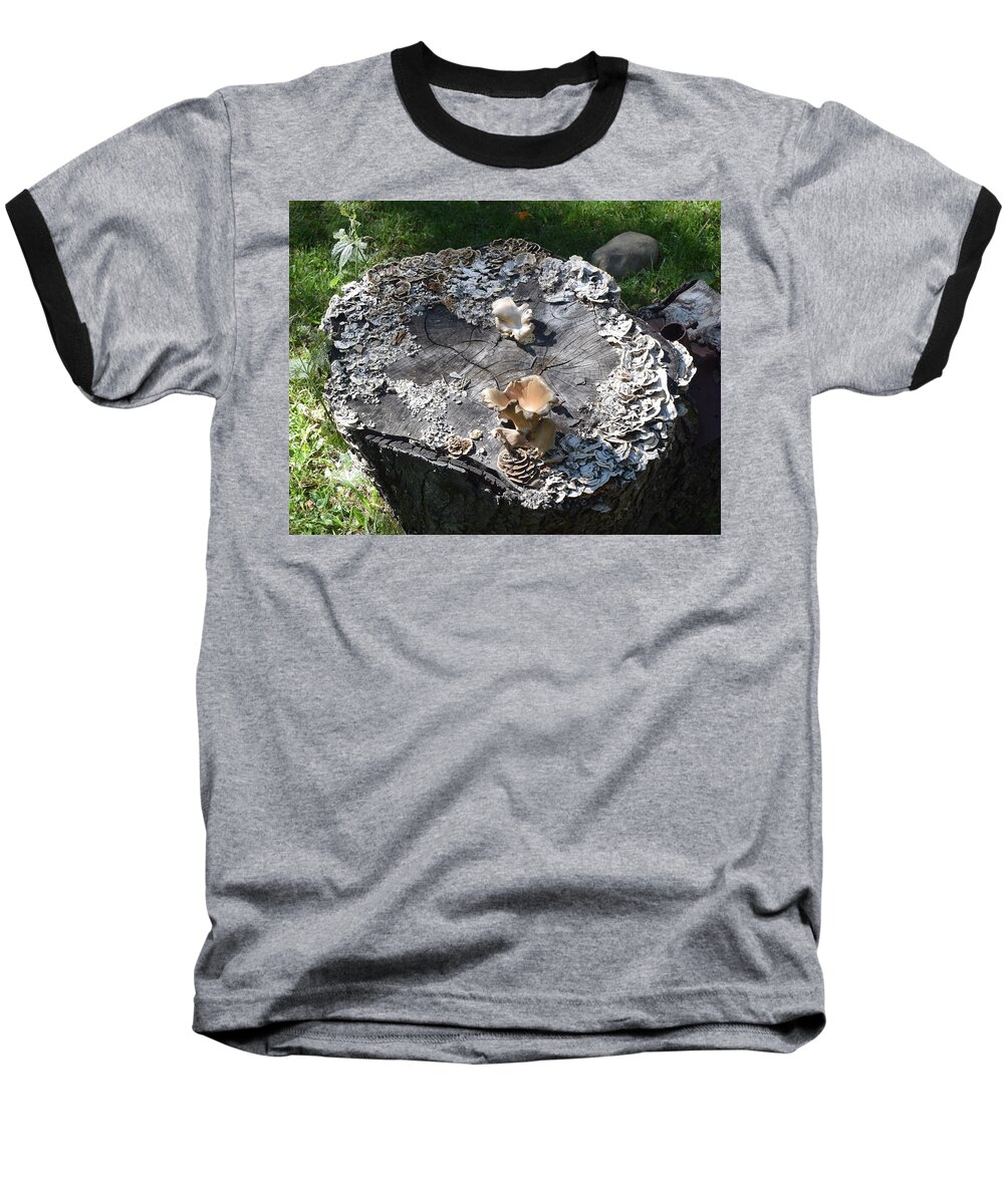 Mushroom Baseball T-Shirt featuring the photograph Mushroom Stump by R Allen Swezey