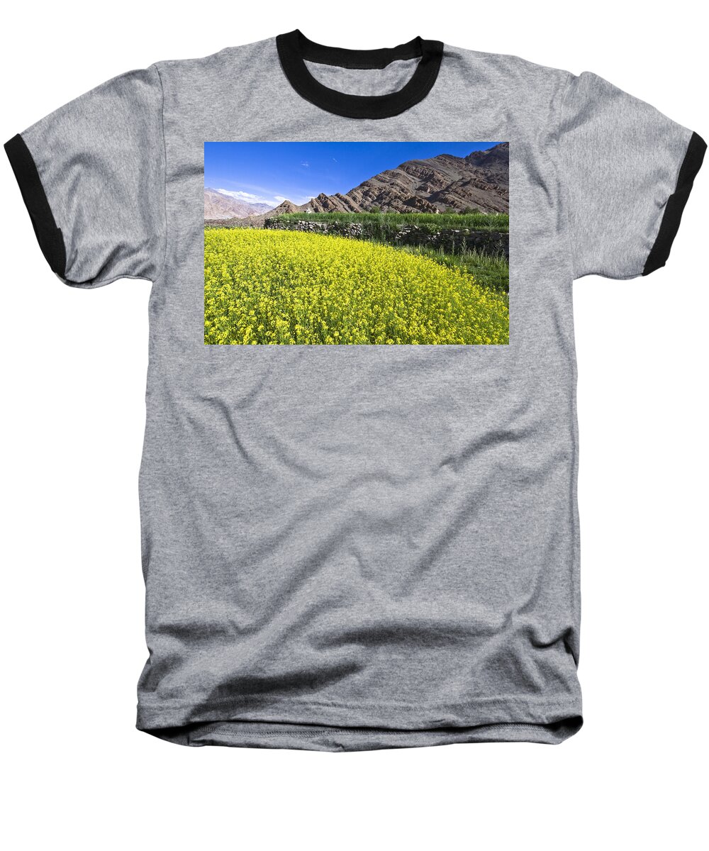 Mustard Baseball T-Shirt featuring the photograph Mustard field, Hemis, 2007 by Hitendra SINKAR