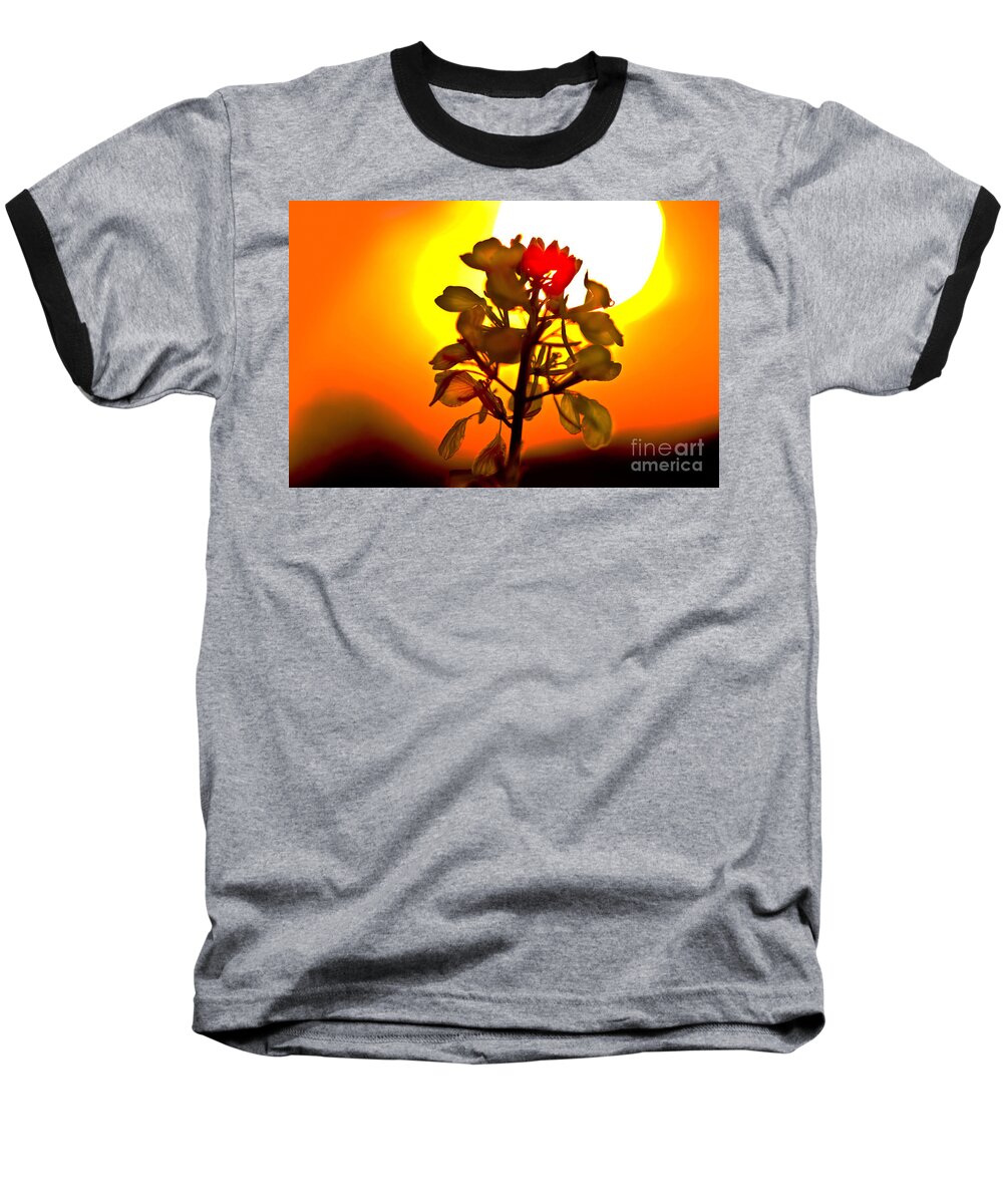 Agriculture Baseball T-Shirt featuring the photograph Mustard Sunset by Roger Monahan