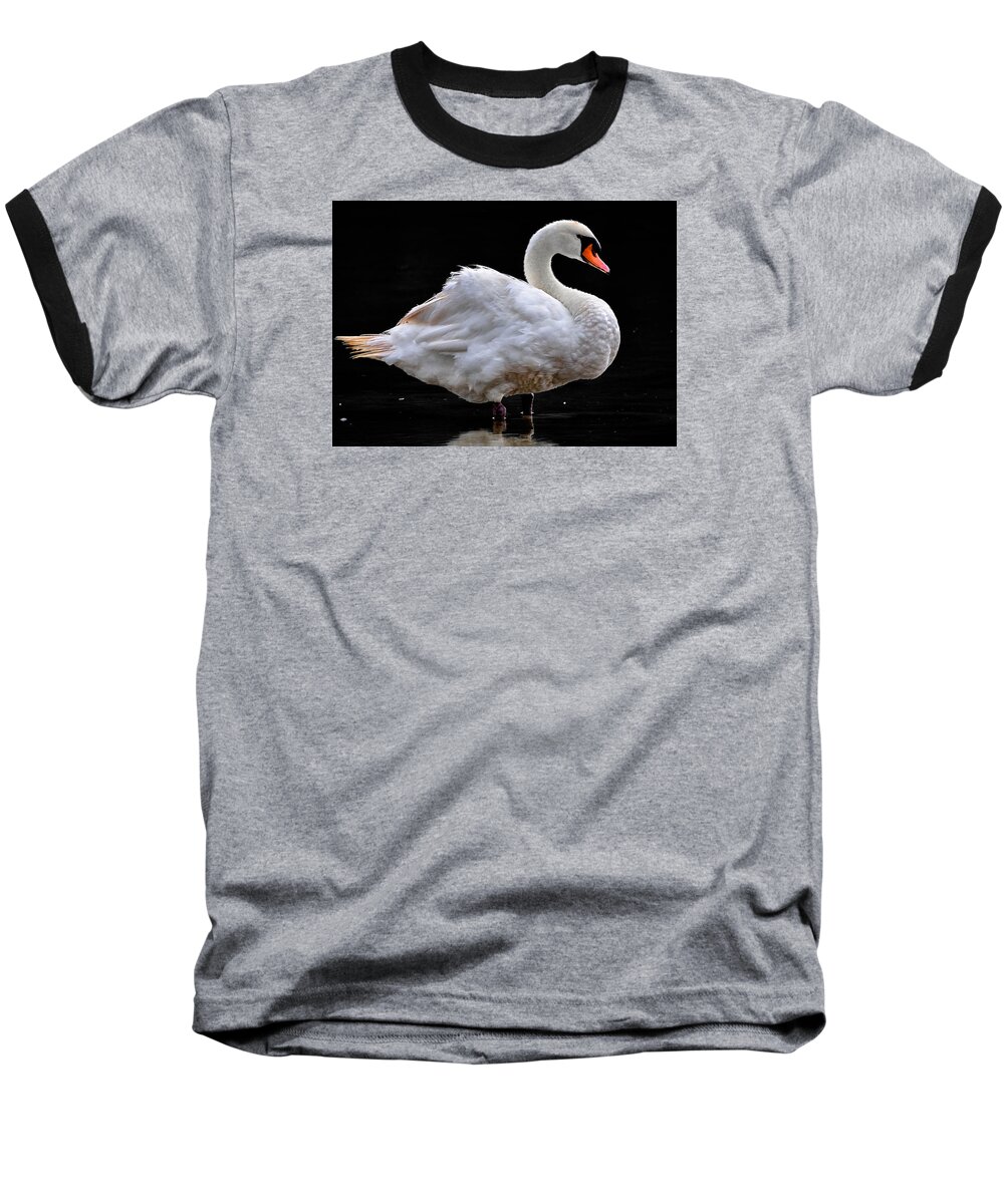  Baseball T-Shirt featuring the photograph Mute Swan 3 by Brian Stevens