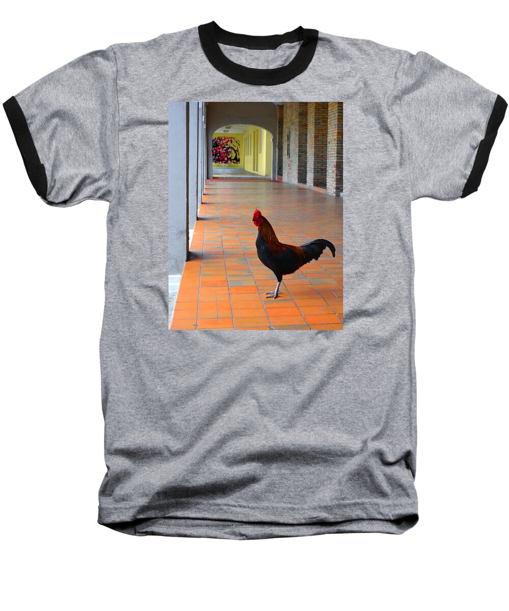 Rooster Baseball T-Shirt featuring the photograph My Colonnade by Richard Ortolano
