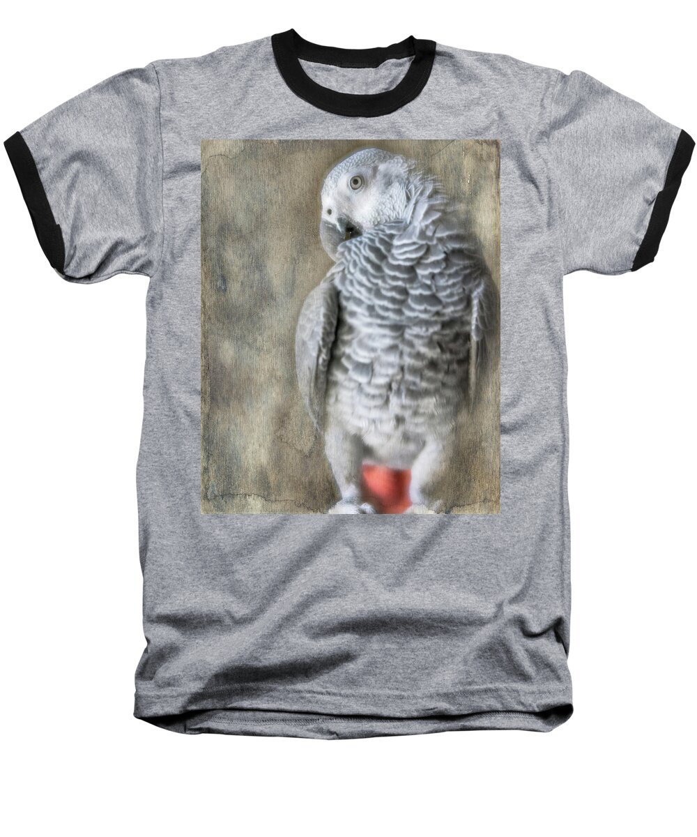 African Grey Baseball T-Shirt featuring the photograph Mysterious Parrot by Jennifer Grossnickle