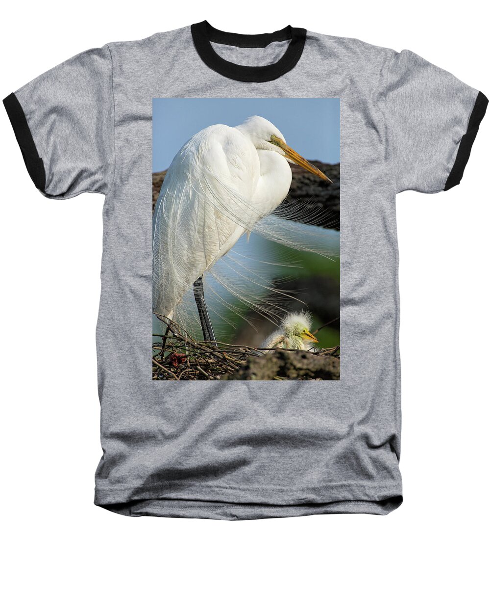 Travel Baseball T-Shirt featuring the photograph Nap Time by Eilish Palmer