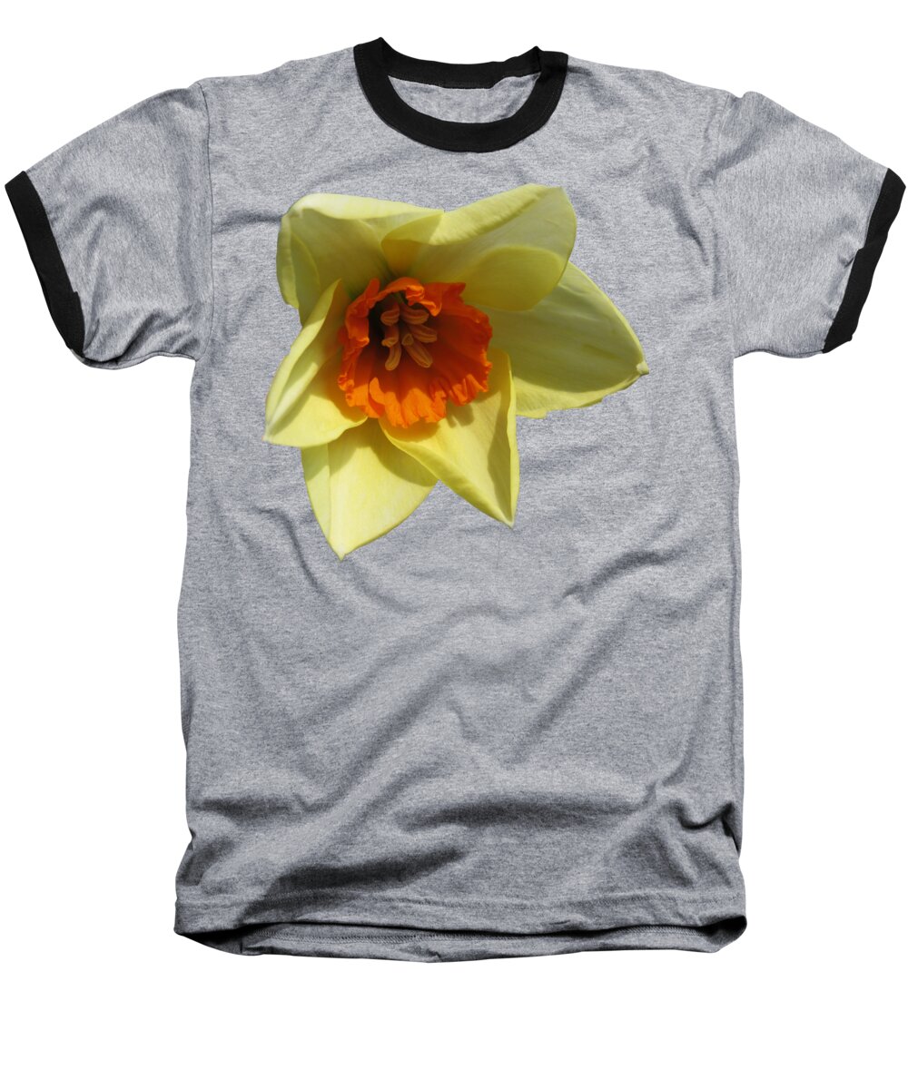 Flowers Baseball T-Shirt featuring the photograph Narcissus 2 by Vesna Martinjak