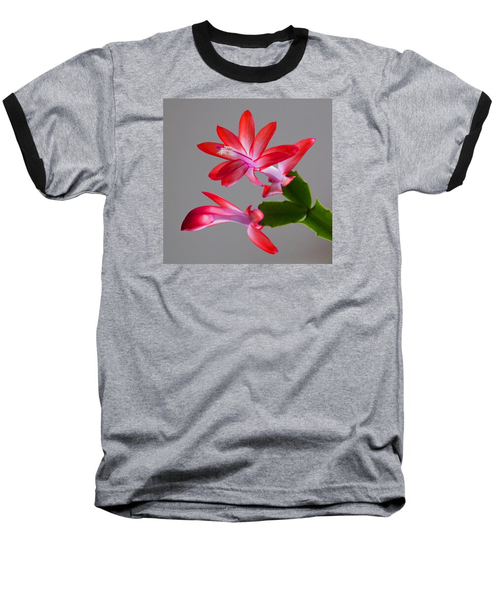 Macro Floral Baseball T-Shirt featuring the photograph Natural Beauty by E Faithe Lester