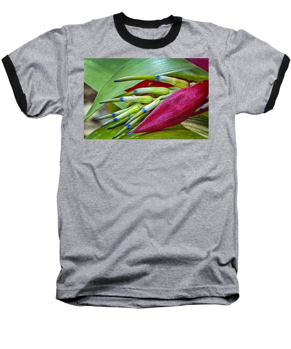 Bromeliad Baseball T-Shirt featuring the photograph Nature in Bloom by Carolyn Marshall