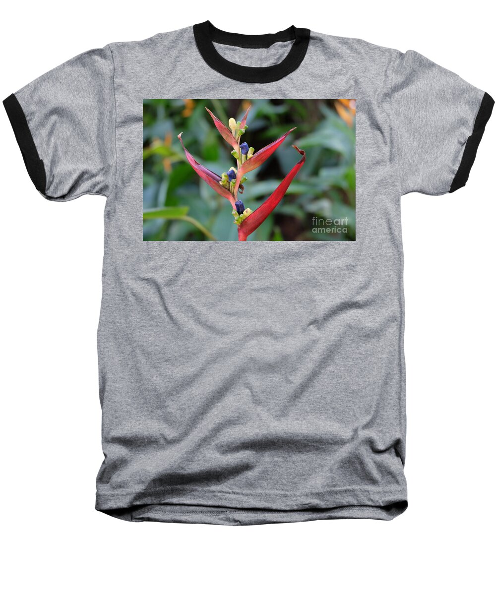 Nature Baseball T-Shirt featuring the photograph Nature's Creation by Mini Arora