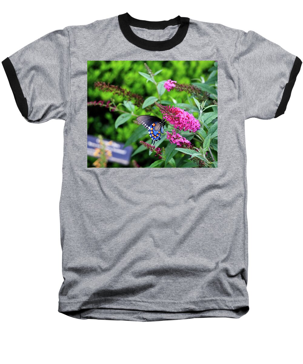 Butterfly Baseball T-Shirt featuring the photograph NC Arboretum Butterflies 1 by Matt Sexton