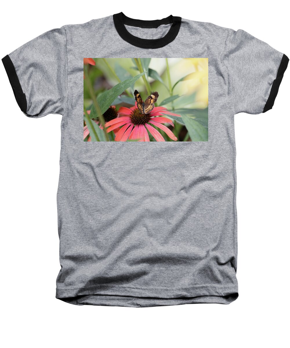 Butterfly Baseball T-Shirt featuring the photograph NC Arboretum butterflies 3 by Matt Sexton