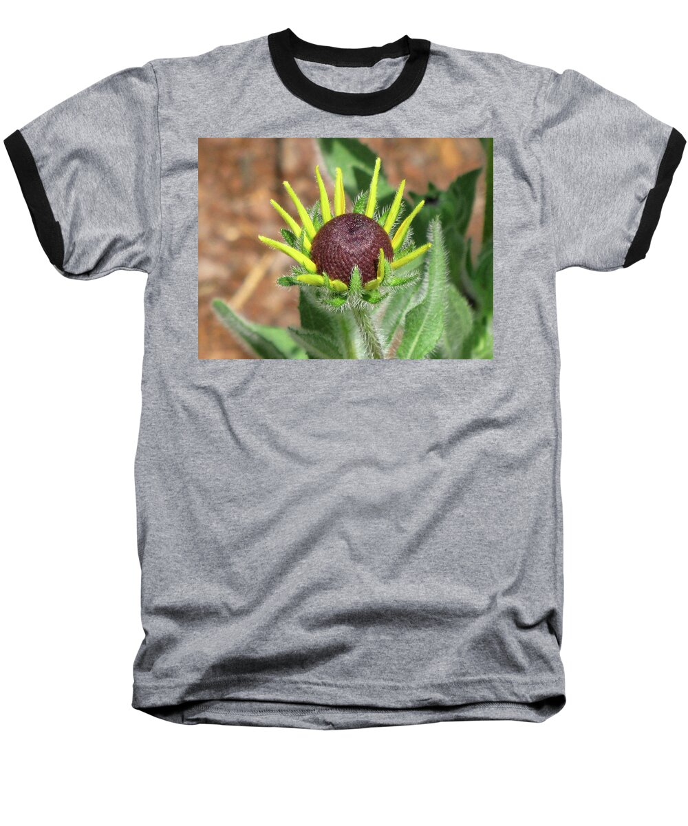 Flowers Baseball T-Shirt featuring the photograph New Daisy by Michele Wilson