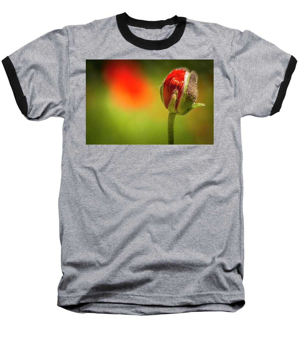 Agriculture Baseball T-Shirt featuring the photograph New Orange Poppy Bloom by Teri Virbickis