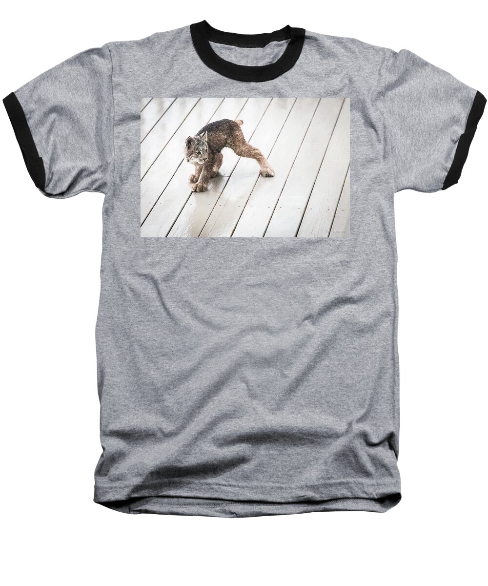 Lynx Baseball T-Shirt featuring the photograph Ninja Lynx Kitty by Tim Newton