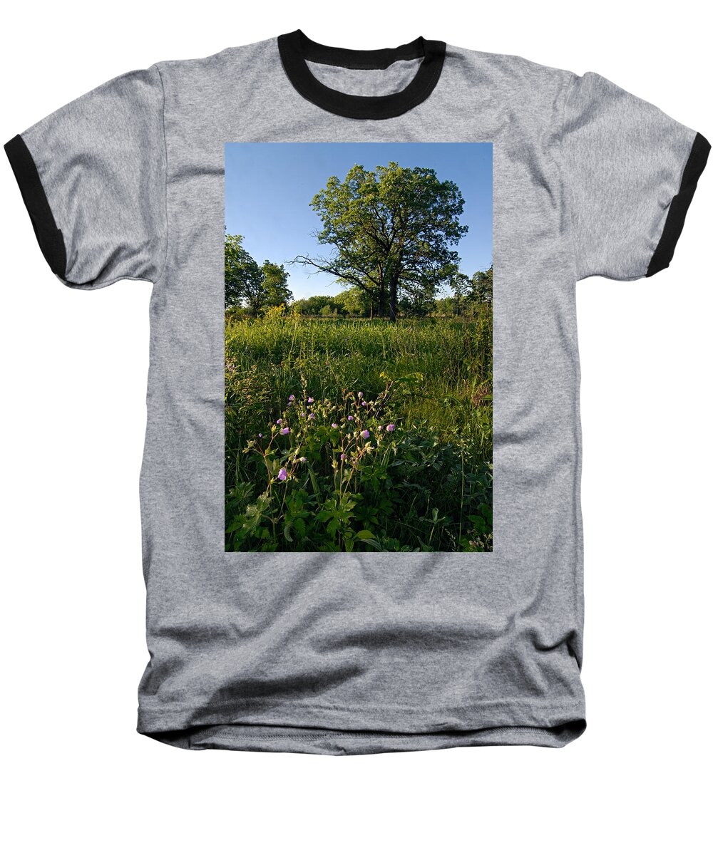 Burr Oak Tree Baseball T-Shirt featuring the photograph Oak Savanah by Larry Ricker