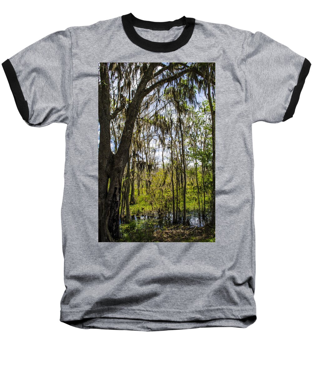 Spanish Moss Baseball T-Shirt featuring the photograph Ocklawaha Spanish Moss in the Swamp by Deborah Smolinske