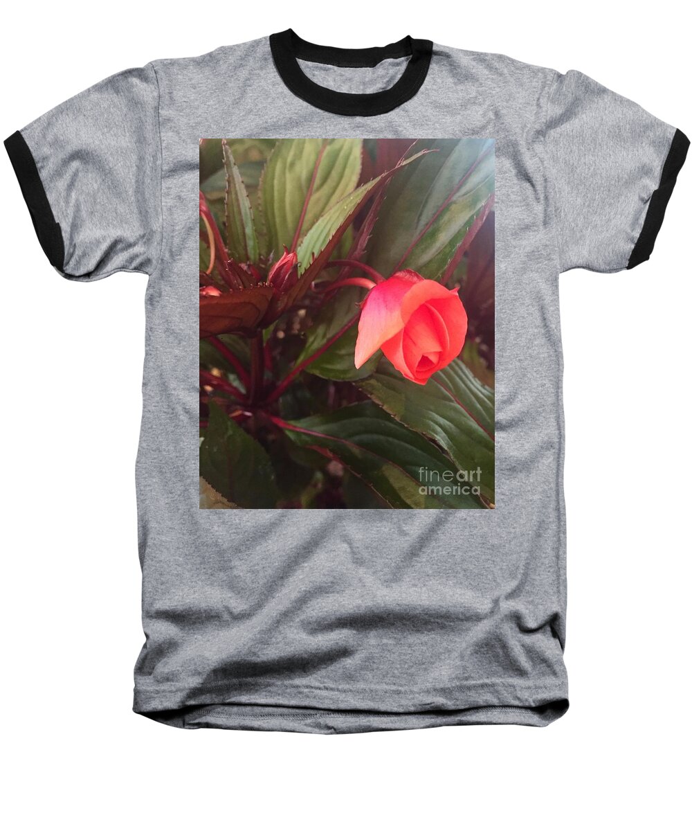 New Guinea Impatient Baseball T-Shirt featuring the photograph Oh My by Barbara Plattenburg