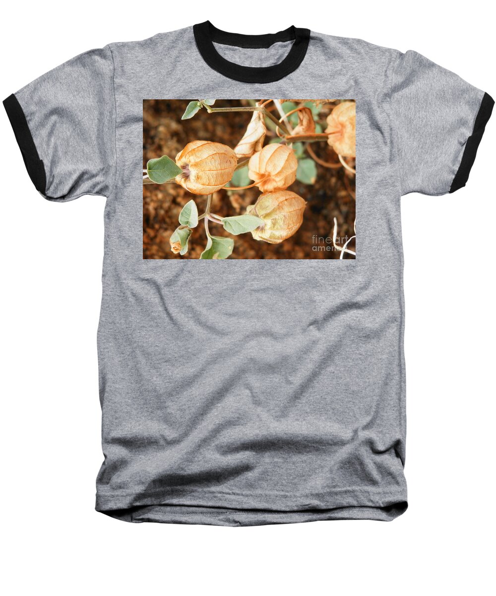 Sitgreaves Wild Flowers Baseball T-Shirt featuring the photograph Oh what we see by Barbara Leigh Art