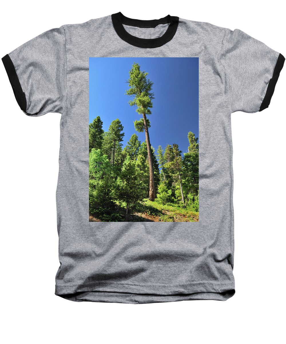 Trees Baseball T-Shirt featuring the photograph Old Ponderosa by Ron Cline