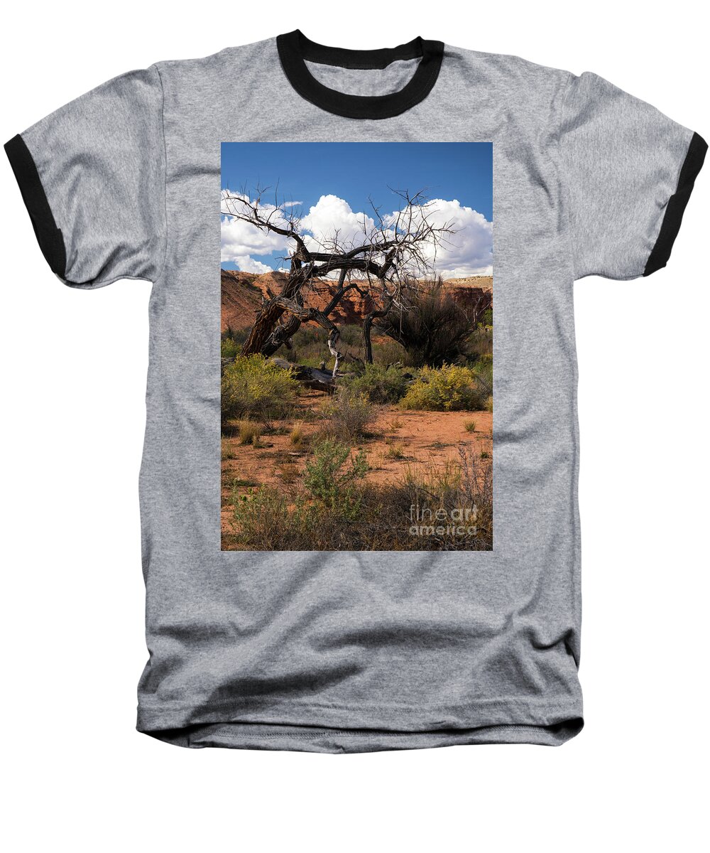 Tree Baseball T-Shirt featuring the photograph Old Tree in Capital Reef National Park by Cindy Murphy - NightVisions