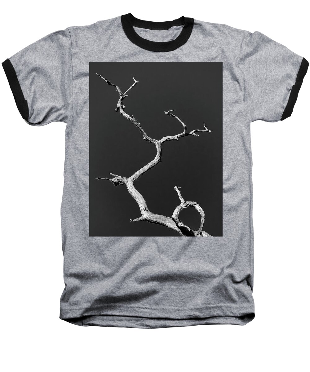 Tree Baseball T-Shirt featuring the photograph Old Wood I by Robert Mitchell