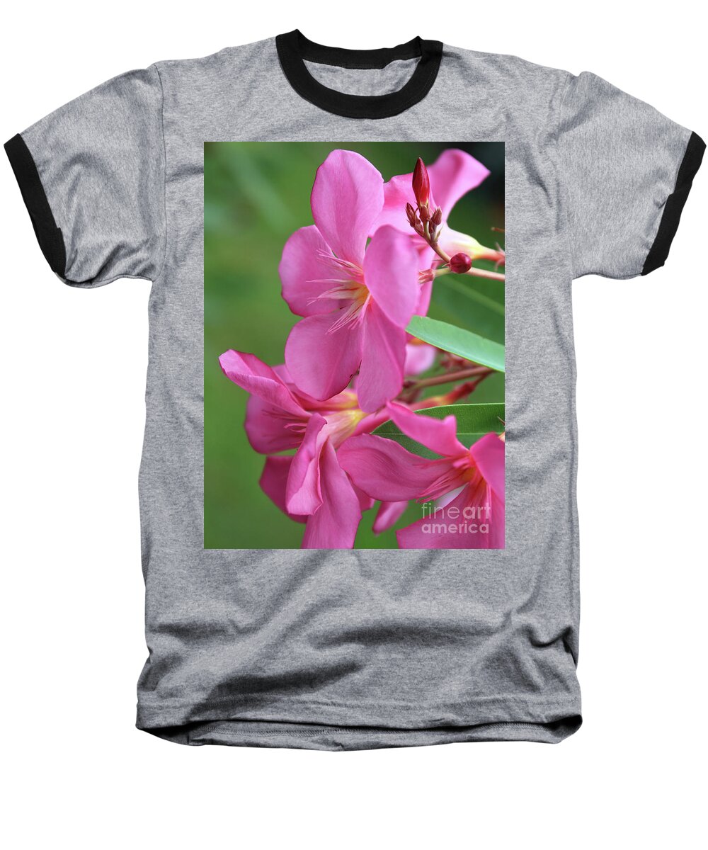 Oleander Baseball T-Shirt featuring the photograph Oleander Maresciallo Graziani 2 by Wilhelm Hufnagl