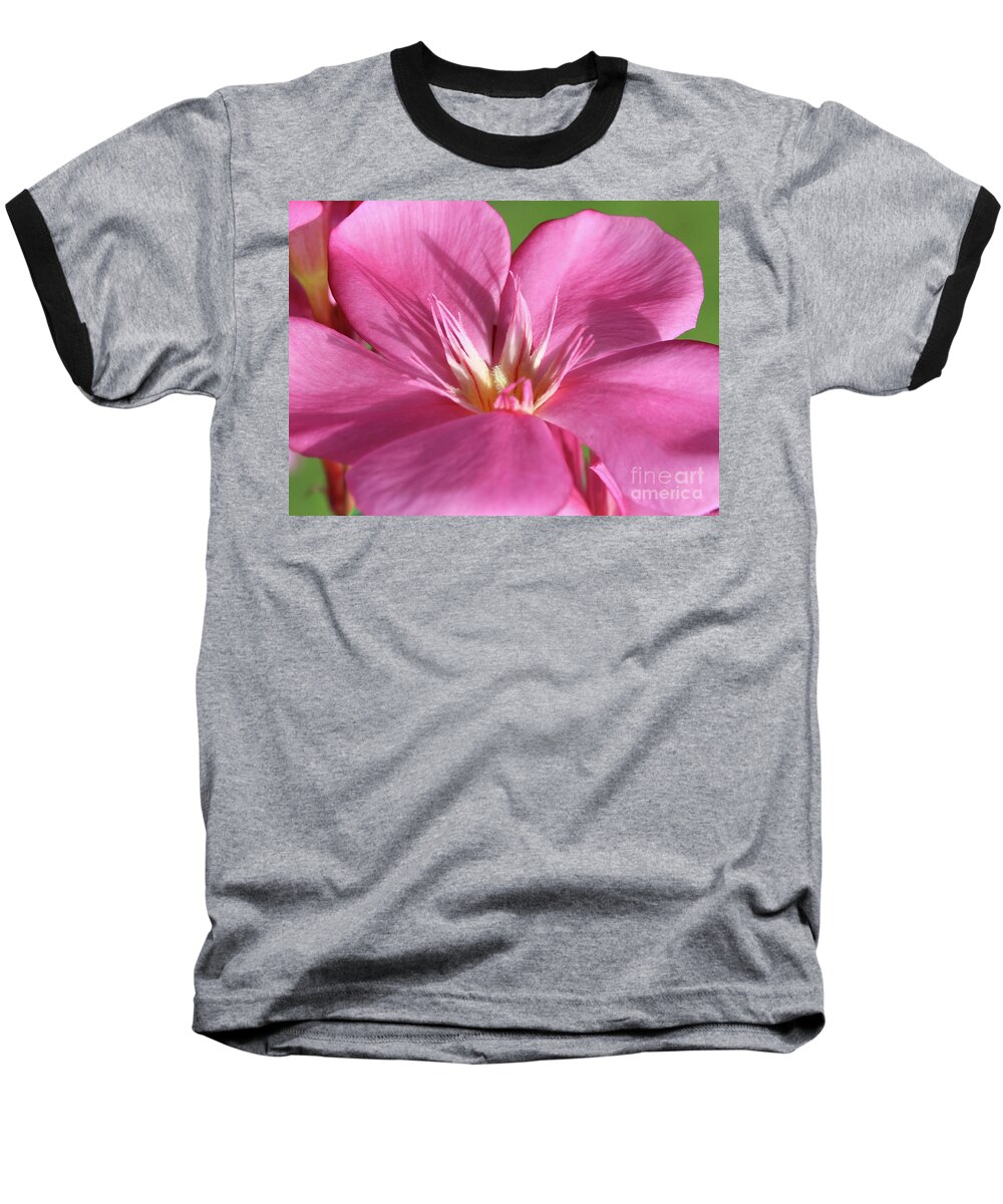 Oleander Baseball T-Shirt featuring the photograph Oleander Maresciallo Graziani 3 by Wilhelm Hufnagl