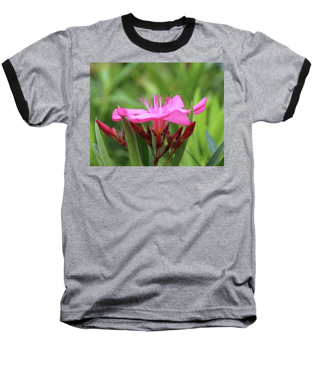 Oleander Baseball T-Shirt featuring the photograph Oleander Professor Parlatore 1 by Wilhelm Hufnagl