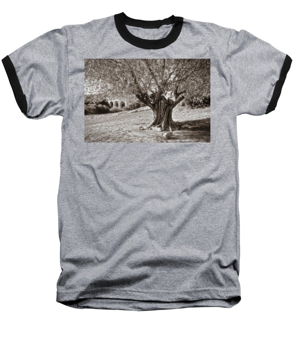 On1 Effects Baseball T-Shirt featuring the photograph Olivo by Roberto Pagani