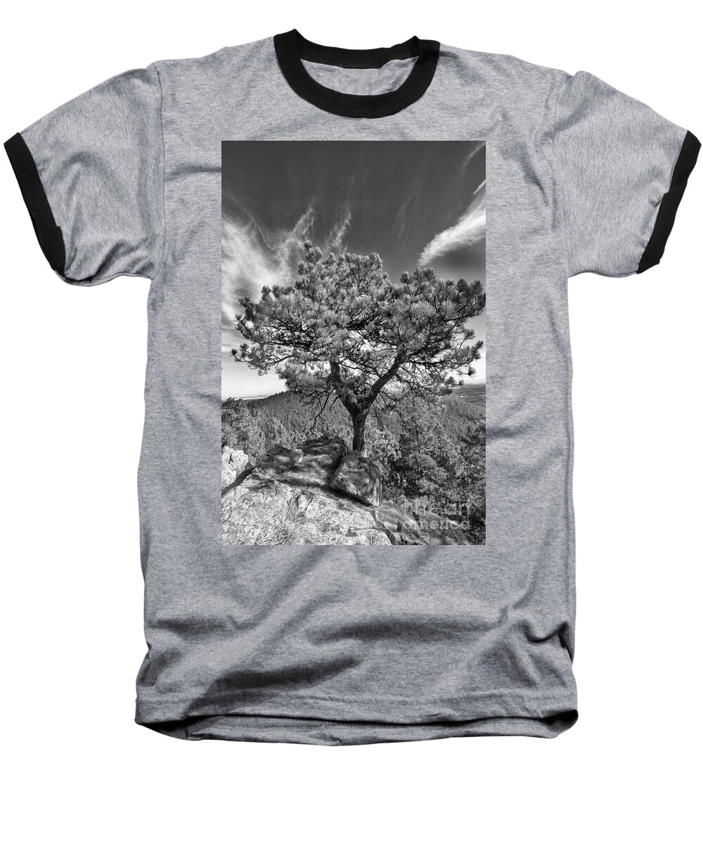 A Lone Tree Sitting On A Cliff In The Black Hills. Baseball T-Shirt featuring the photograph On a Ledge by Steve Triplett