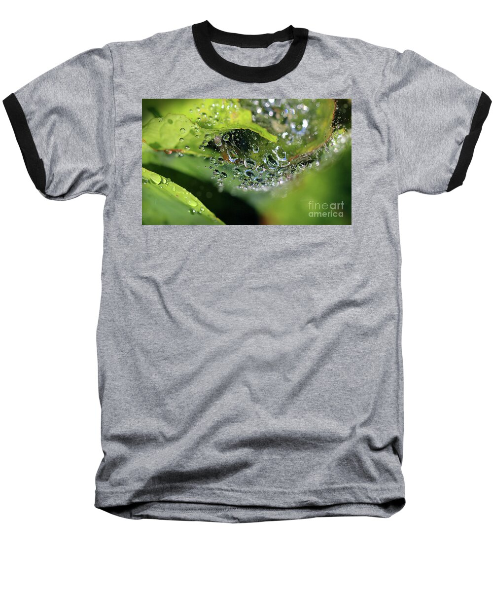 Abstract Baseball T-Shirt featuring the photograph On Drops of Dew by Karen Adams