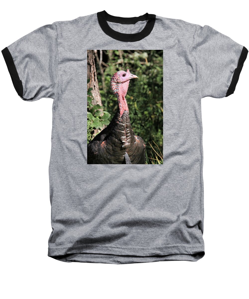 Wild Turkey Baseball T-Shirt featuring the photograph On High Alert by Doris Potter