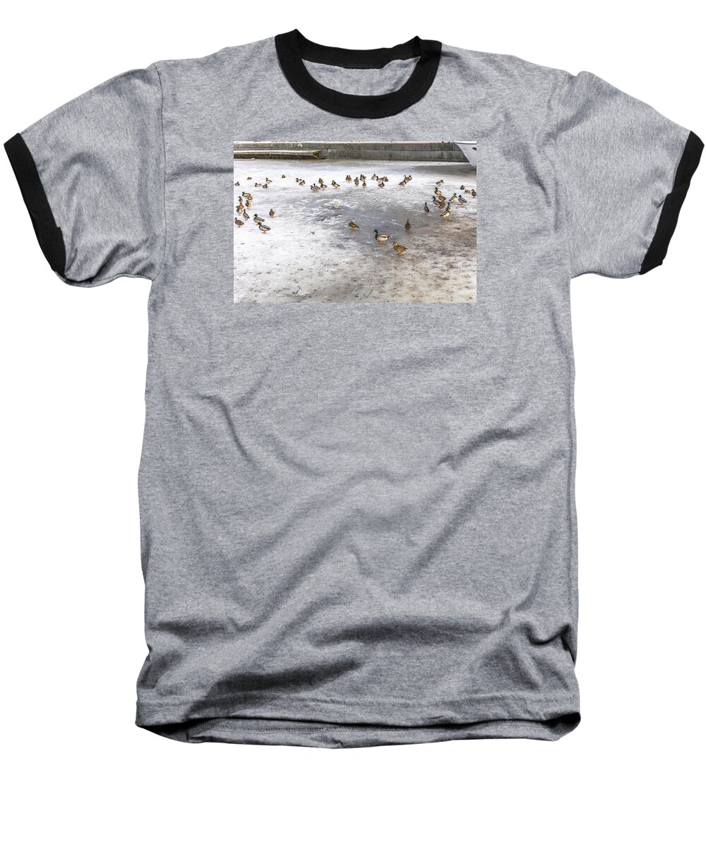 Ice Baseball T-Shirt featuring the photograph On ice by Leif Sohlman