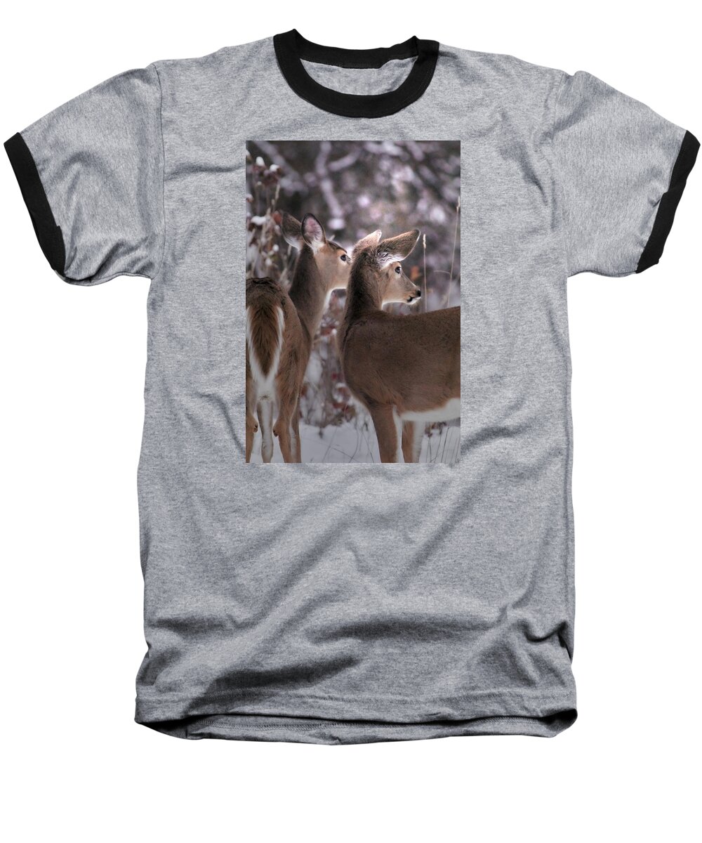 Whitetail Baseball T-Shirt featuring the photograph On The Look Out by Loni Collins