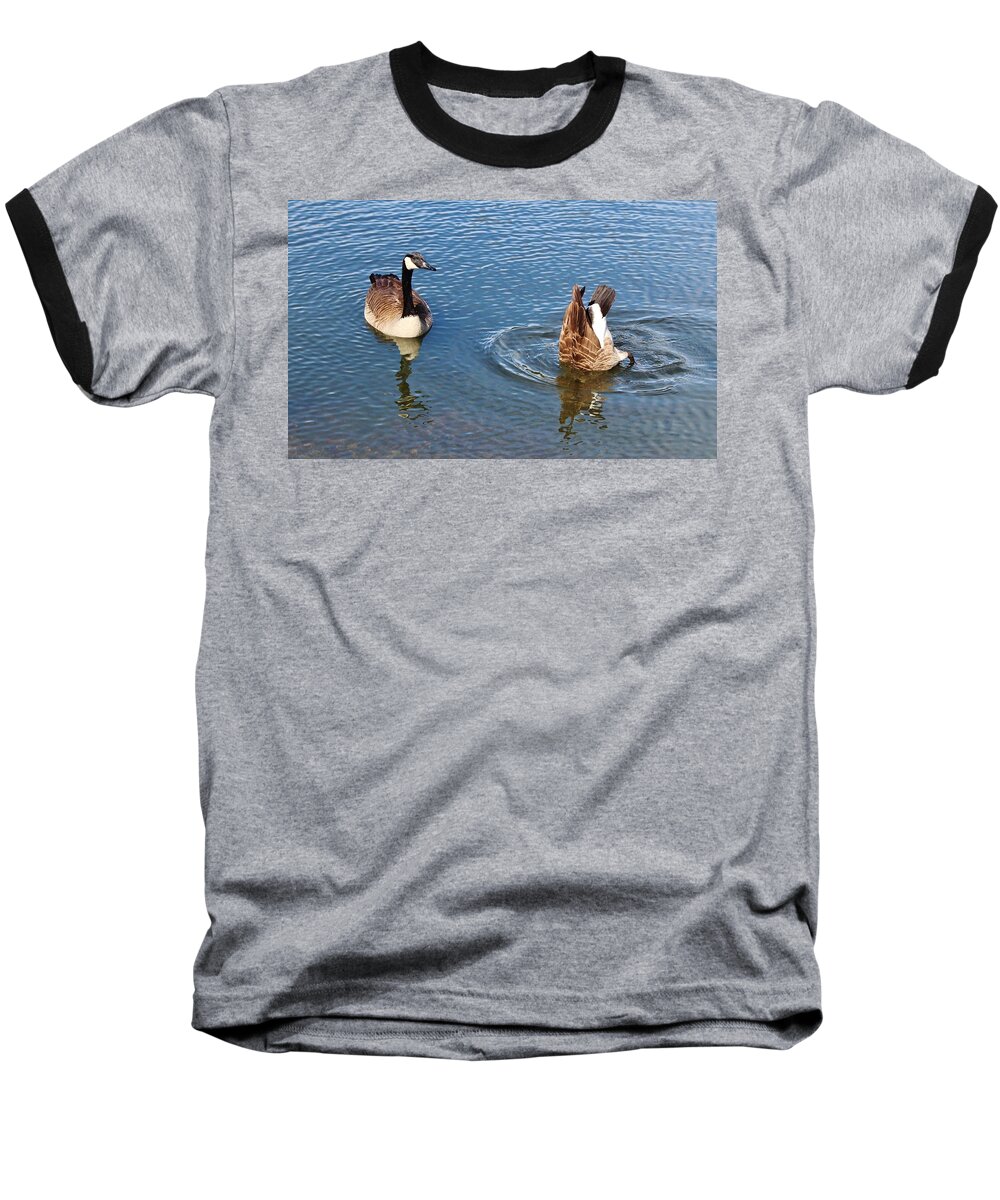 Canadian Geese Baseball T-Shirt featuring the photograph One Up One Down by Cynthia Guinn