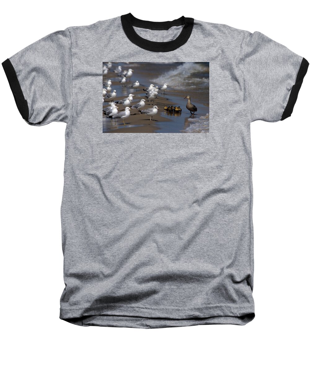 Ducks Baseball T-Shirt featuring the photograph Ducklings in Trouble - Oops not into diversity by John Harmon