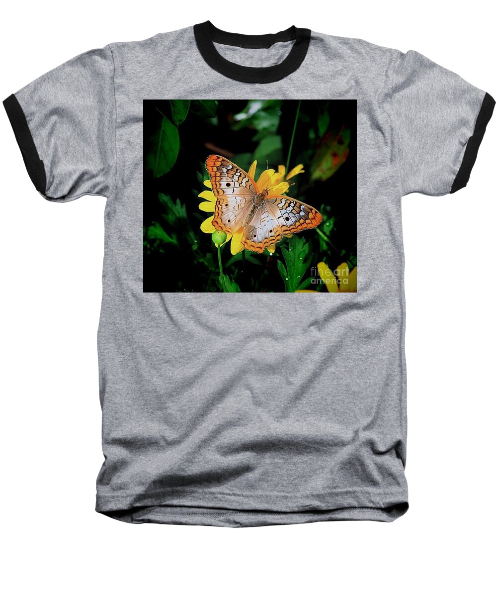 Butterfly Baseball T-Shirt featuring the photograph Butterfly by Buddy Morrison