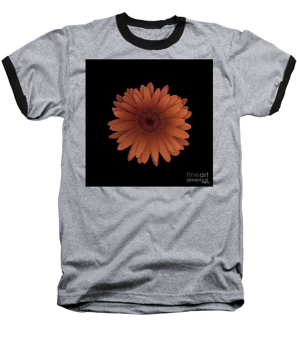 Orange Baseball T-Shirt featuring the photograph Orange Daisy Front by Heather Kirk