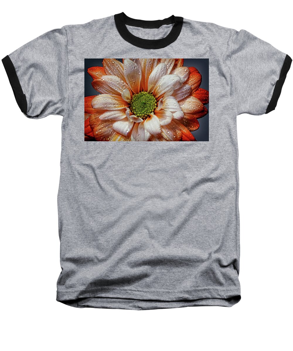 Daisy Baseball T-Shirt featuring the photograph Orange Daisy With Raindrops by Judy Vincent