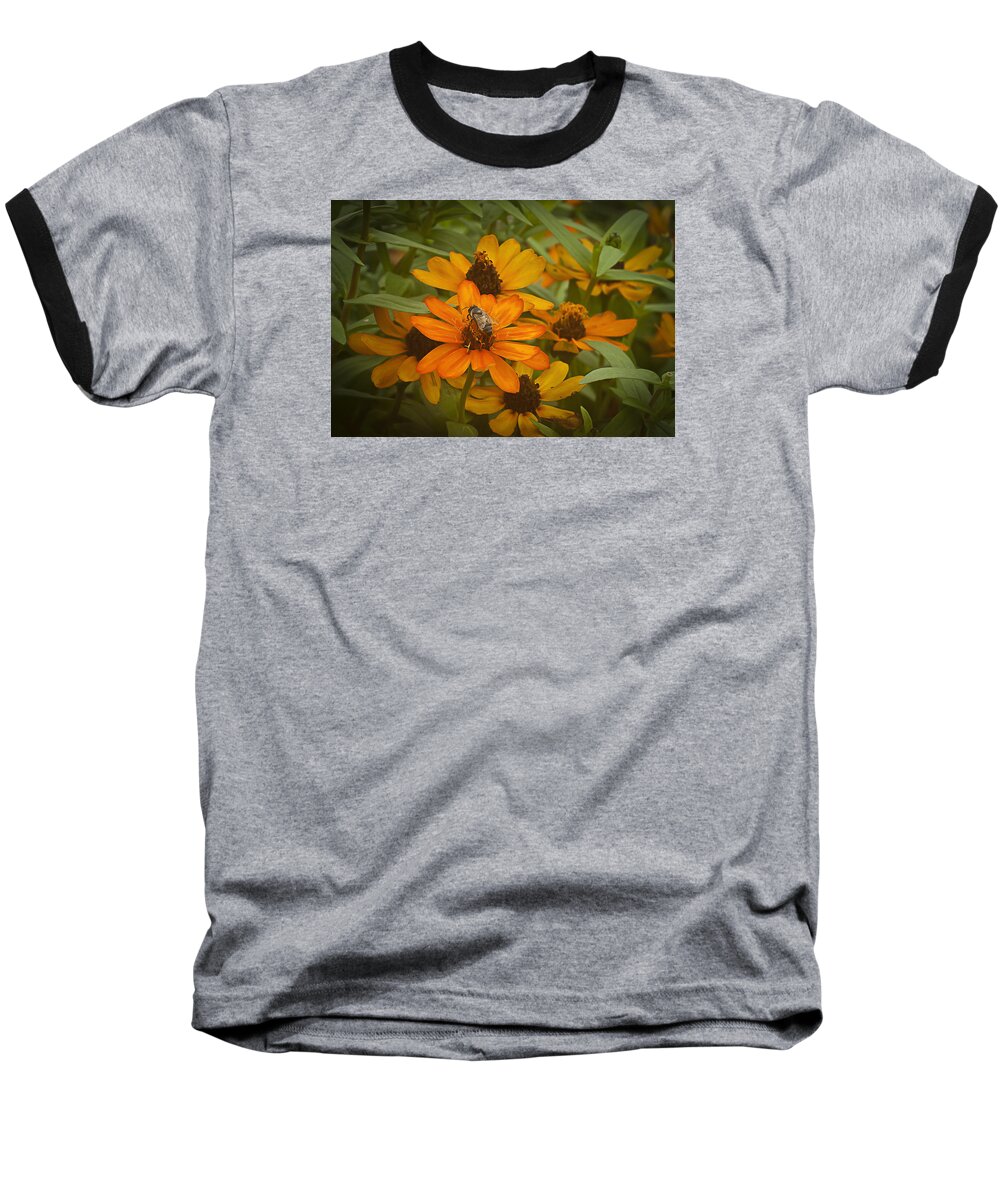Orange Flower Baseball T-Shirt featuring the photograph Orange Flowers and Bee by Brian Kinney