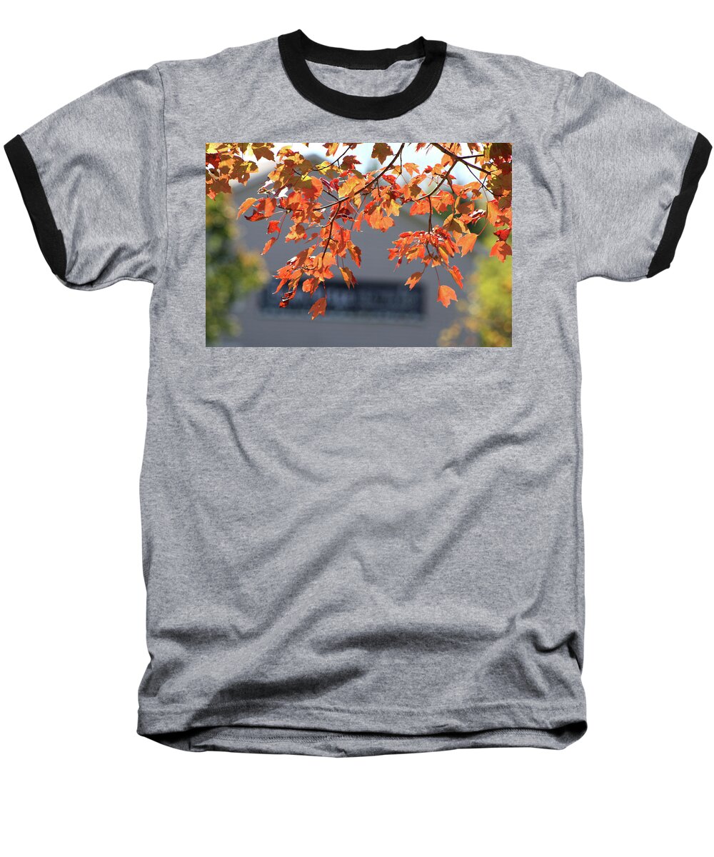 Leaves Baseball T-Shirt featuring the photograph Orange Leaves of Autumn by Michele Wilson