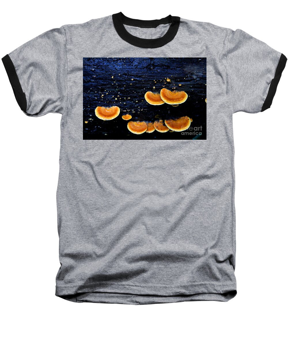 Hawaiian Tree Fungus Baseball T-Shirt featuring the photograph Orange Tree Fungus by Jennifer Bright Burr