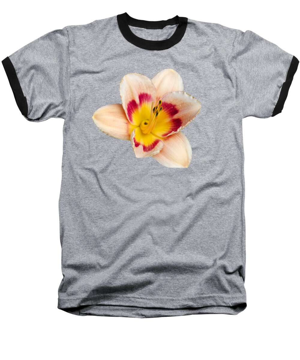 Lilies Baseball T-Shirt featuring the photograph Orange Daylilies by Christina Rollo