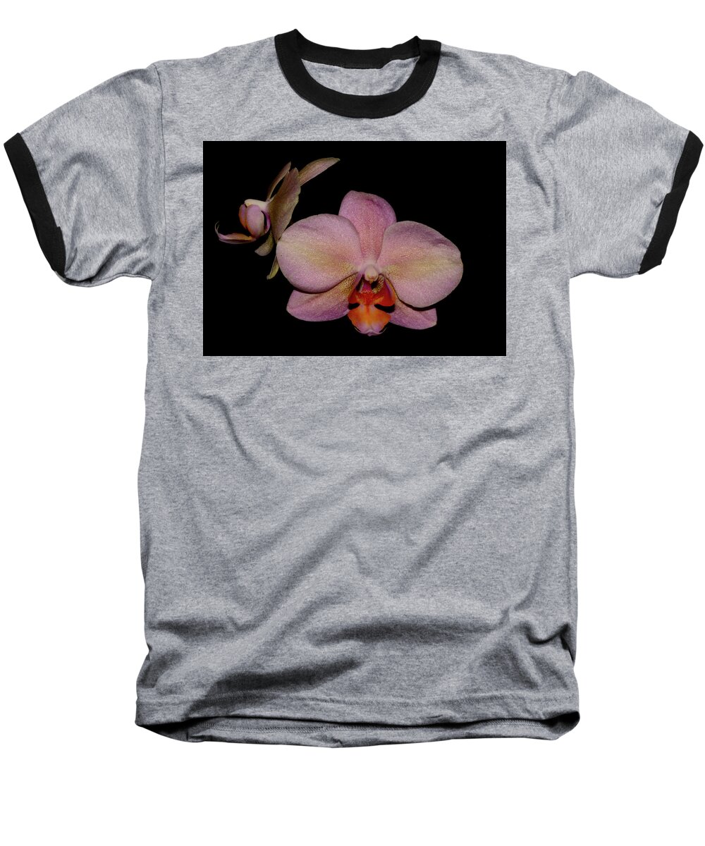 Nature Baseball T-Shirt featuring the photograph Orchid 2016 3 by Robert Morin