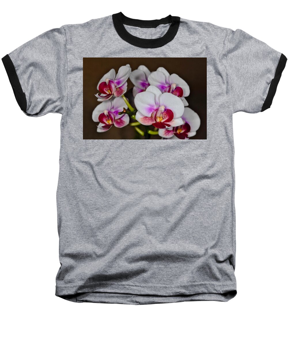 Orchid Baseball T-Shirt featuring the photograph Orchid 306 by Wesley Elsberry